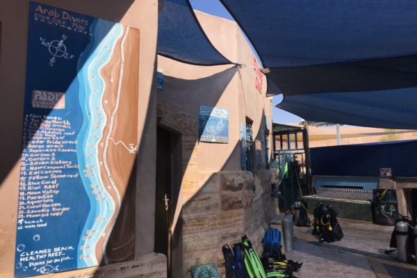 Tauchen im Roten Meer mit den Arab Divers